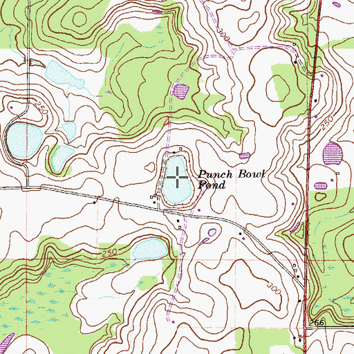 Topographic Map of Punch Bowl Pond, FL