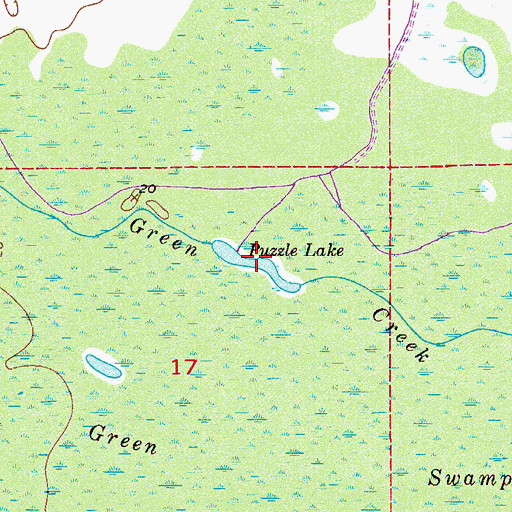 Topographic Map of Puzzle Lake, FL