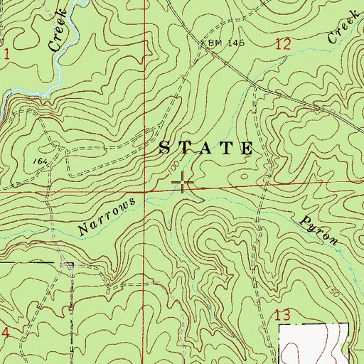 Topographic Map of Pyron Spring Branch, FL