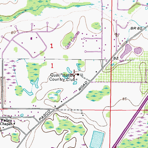Topographic Map of Quail Hollow Country Club, FL