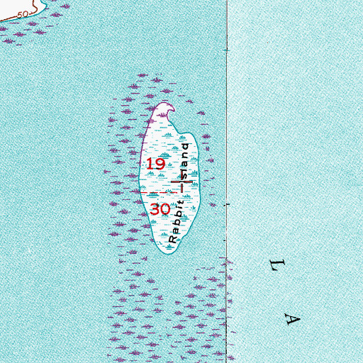 Topographic Map of Rabbit Island, FL