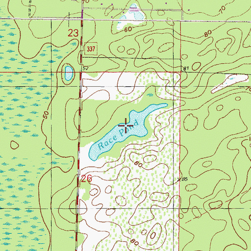 Topographic Map of Race Pond, FL