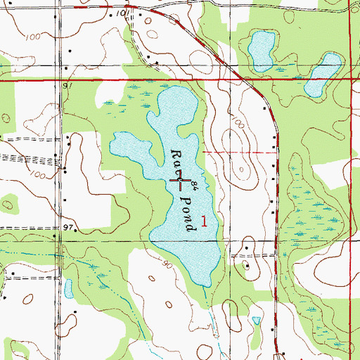 Topographic Map of Race Pond, FL