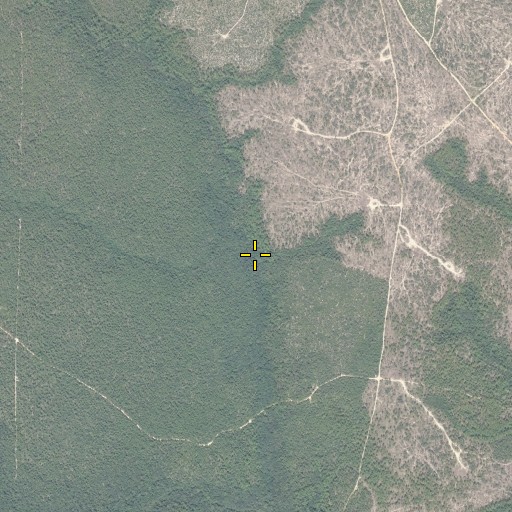 Aerial/Satellite Image of Rail Tree Branch, FL