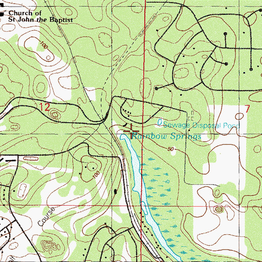 Topographic Map of Rainbow Springs, FL