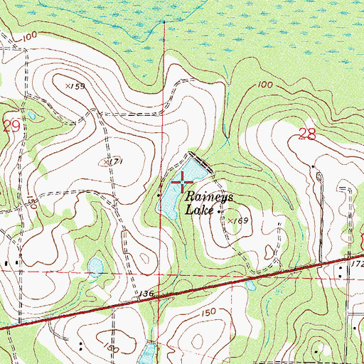 Topographic Map of Raineys Lake, FL