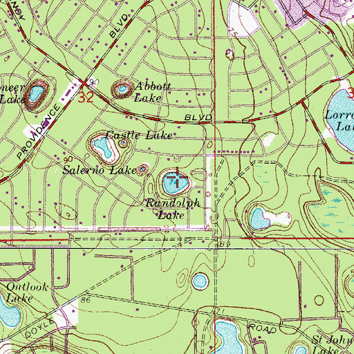 Topographic Map of Randolph Lake, FL
