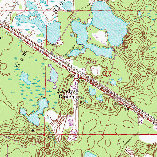 Topographic Map of Randys Ranch, FL