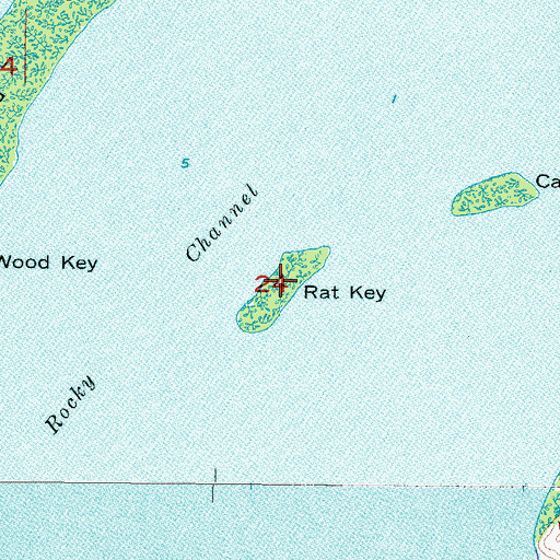 Topographic Map of Rat Key, FL