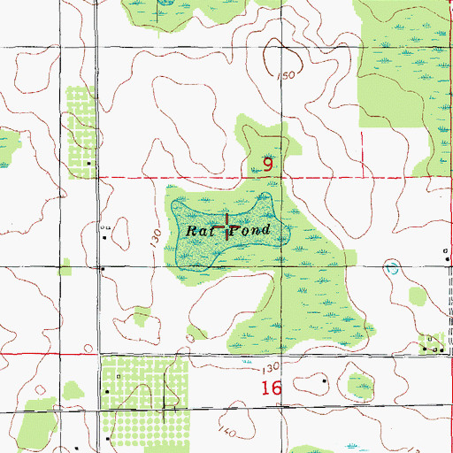 Topographic Map of Rat Pond, FL