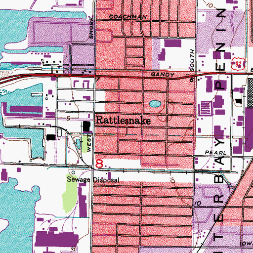 Topographic Map of Rattlesnake, FL