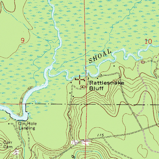Topographic Map of Rattlesnake Bluff, FL