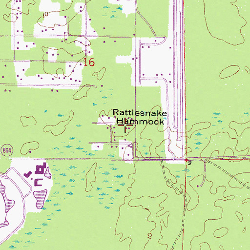 Topographic Map of Rattlesnake Hammock, FL