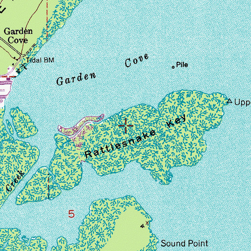 Topographic Map of Rattlesnake Key, FL