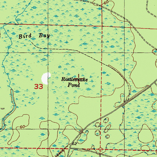 Topographic Map of Rattlesnake Pond, FL