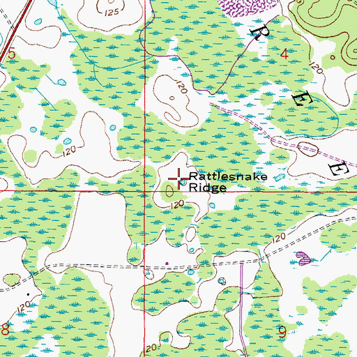 Topographic Map of Rattlesnake Ridge, FL