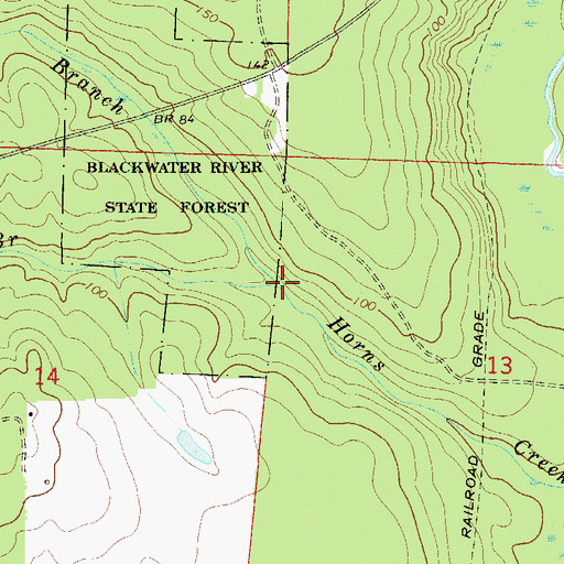 Topographic Map of Rattlesnake Spring Branch, FL