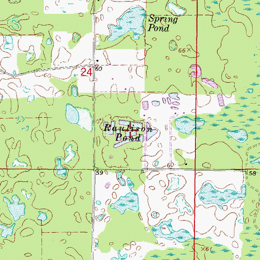 Topographic Map of Raulison Pond, FL
