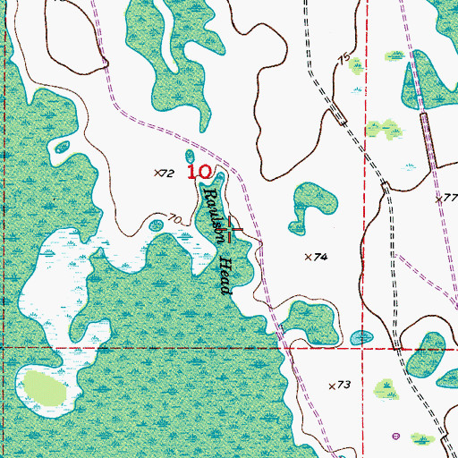 Topographic Map of Raulson Head, FL