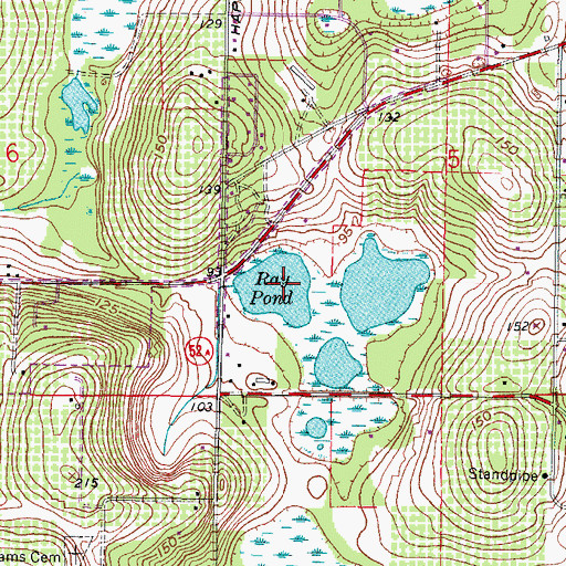 Topographic Map of Ray Pond, FL
