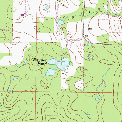 Topographic Map of Rayner Pond, FL