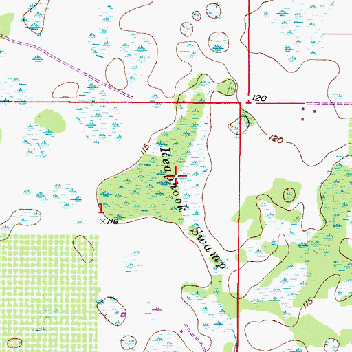 Topographic Map of Reaphook Swamp, FL