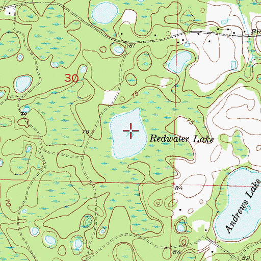 Topographic Map of Redwater Lake, FL