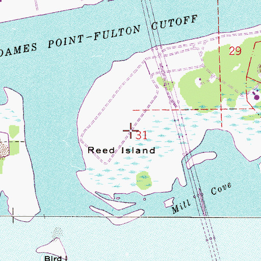 Topographic Map of Reed Island, FL