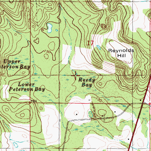 Topographic Map of Reedy Bay, FL