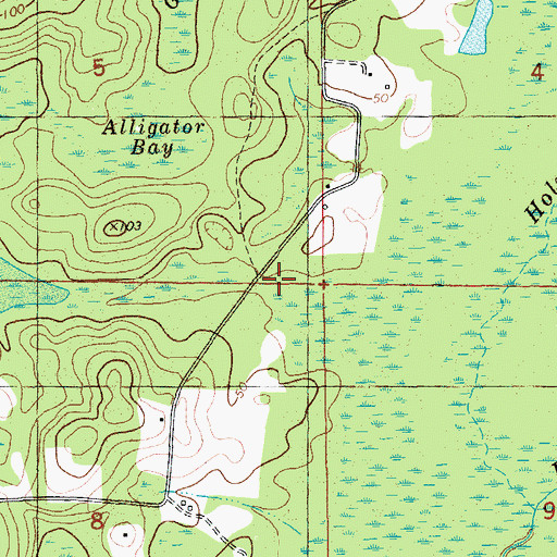 Topographic Map of Reedy Branch, FL