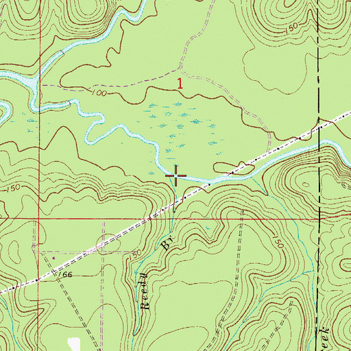 Topographic Map of Reedy Branch, FL