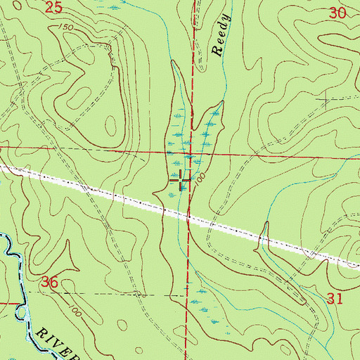 Topographic Map of Reedy Branch, FL