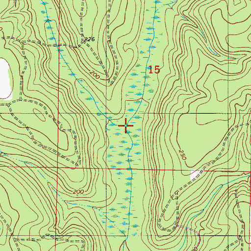 Topographic Map of Reedy Branch, FL