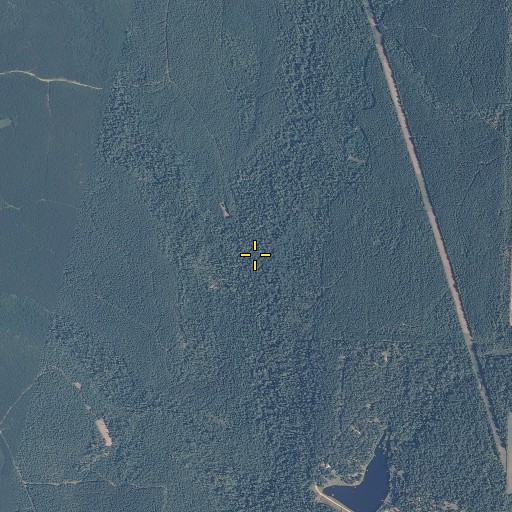 Aerial/Satellite Image of Reedy Branch, FL