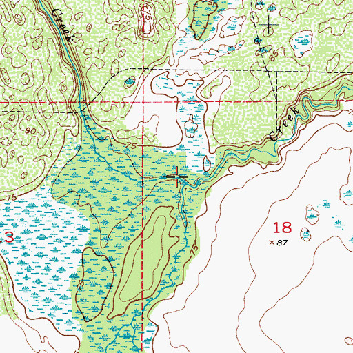 Topographic Map of Reedy Creek, FL