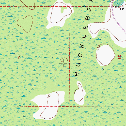 Topographic Map of Reedy Creek Swamp, FL