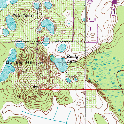 Topographic Map of Reedy Lake, FL