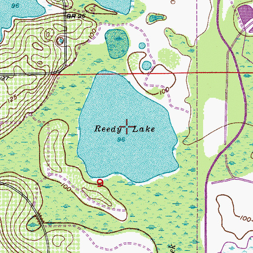 Topographic Map of Reedy Lake, FL