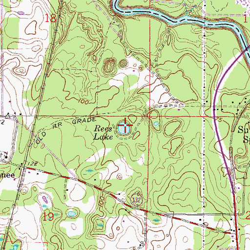 Topographic Map of Rees Lake, FL