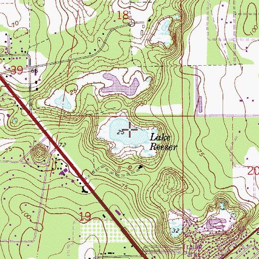 Topographic Map of Lake Reeser, FL