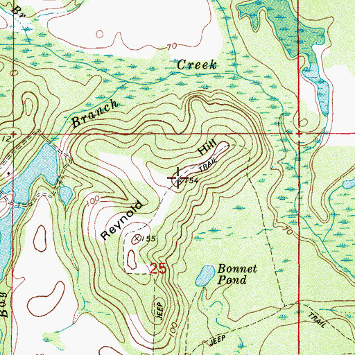 Topographic Map of Reynold Hill, FL