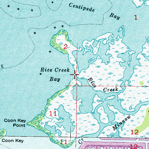 Topographic Map of Rice Creek, FL