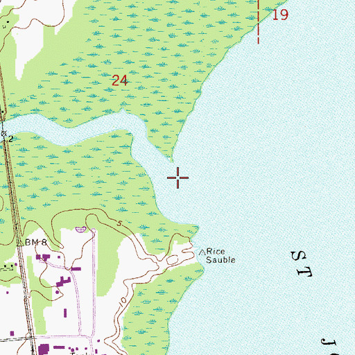 Topographic Map of Rice Creek, FL