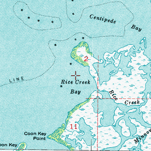 Topographic Map of Rice Creek Bay, FL