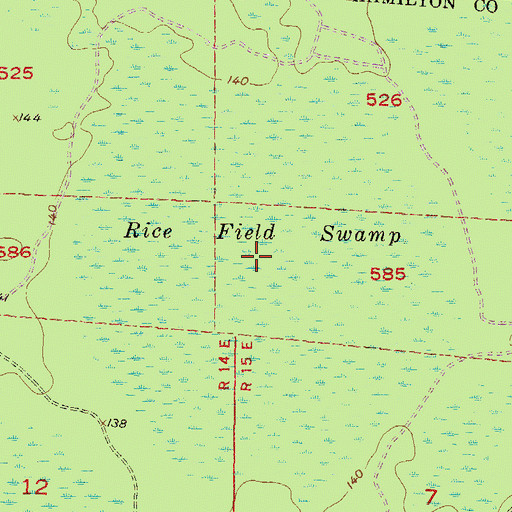 Topographic Map of Rice Field Swamp, FL