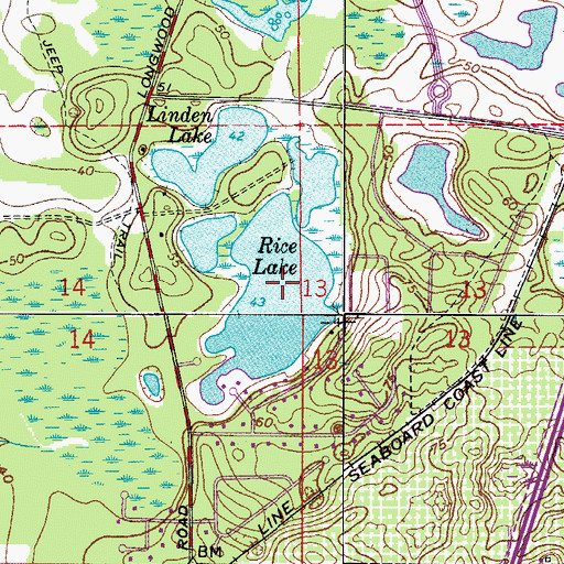 Topographic Map of Rice Lake, FL