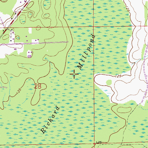 Topographic Map of Richard Millpond, FL