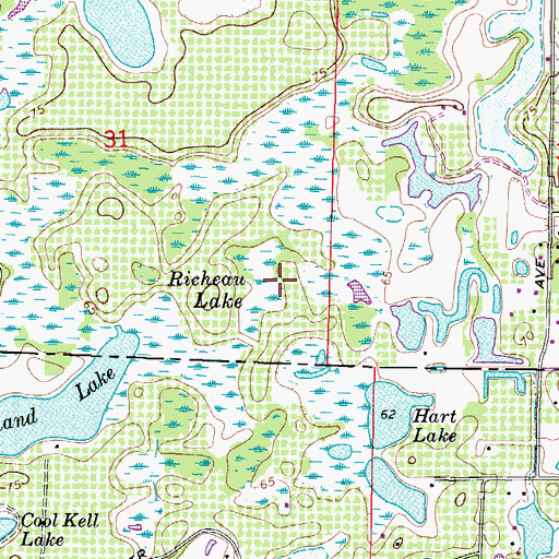 Topographic Map of Richeau Lake, FL