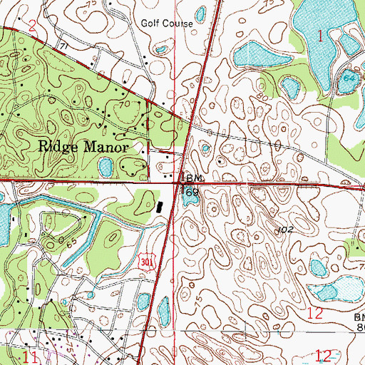 Topographic Map of Ridge Manor, FL