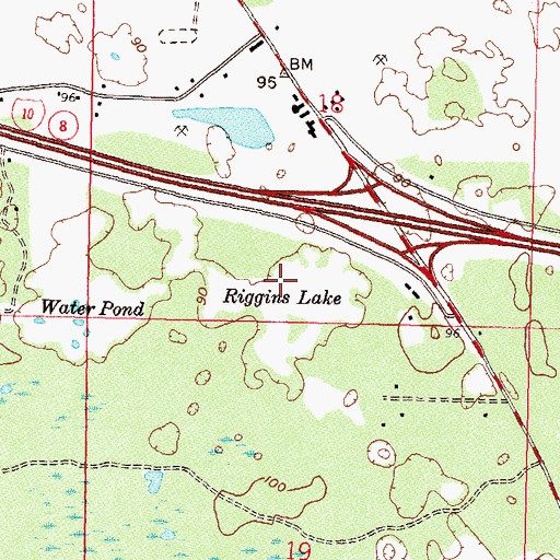 Topographic Map of Riggins Lake, FL